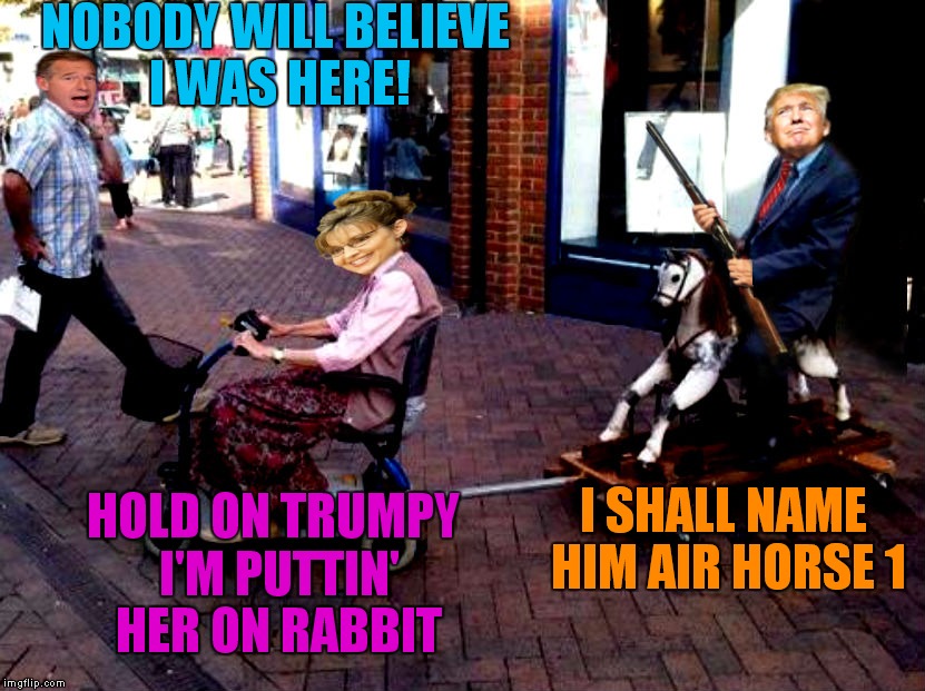 Watch out for that curb...! | NOBODY WILL BELIEVE I WAS HERE! I SHALL NAME HIM AIR HORSE 1; HOLD ON TRUMPY I'M PUTTIN' HER ON RABBIT | image tagged in donald trump,sarah palin,brian williams,air horse 1 | made w/ Imgflip meme maker