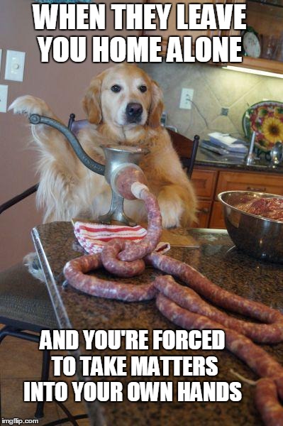 Not your regular Sausage Dog.  | WHEN THEY LEAVE YOU HOME ALONE; AND YOU'RE FORCED TO TAKE MATTERS INTO YOUR OWN HANDS | image tagged in dog sausages,golden retriever,home alone,cooking,wurst | made w/ Imgflip meme maker
