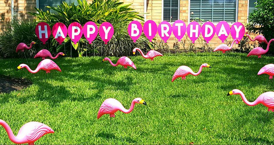 High Quality Birthday Flamingos Blank Meme Template