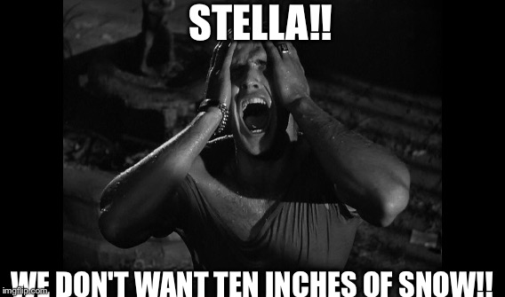 STELLA!! WE DON'T WANT TEN INCHES OF SNOW!! | image tagged in marlon brando,stella,winter storm | made w/ Imgflip meme maker