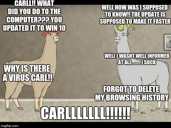 Llamas with hats and win 10 | CARLL!! WHAT DID YOU DO TO THE COMPUTER??? YOU UPDATED IT TO WIN 10; WELL HOW WAS I SUPPOSED TO KNOW!! THE UPDATE IS SUPPOSED TO MAKE IT FASTER; WELL I WASNT WELL INFORMED AT ALL. ....... I SUCK; WHY IS THERE A VIRUS CARL!! FORGOT TO DELETE MY BROWSING HISTORY; CARLLLLLLL!!!!!! | image tagged in llamas with hats | made w/ Imgflip meme maker
