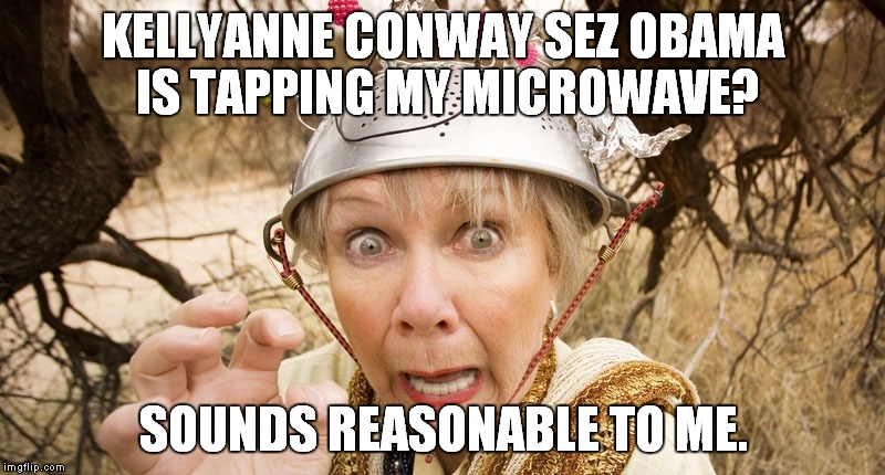 Wiretapping Trump | KELLYANNE CONWAY SEZ OBAMA IS TAPPING MY MICROWAVE? SOUNDS REASONABLE TO ME. | image tagged in wiretapping,trump is an asshole,donald trump is an idiot,kellyanne conway alternative facts | made w/ Imgflip meme maker