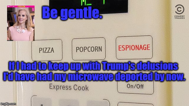 delusions | Be gentle. If I had to keep up with Trump's delusions I'd have had my microwave deported by now. | image tagged in satire,kellyanne conway,donald trump,wiretapping | made w/ Imgflip meme maker