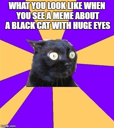 How Ironic! That's not irony, dude. That's a coincidence.Your mama is a coincidence!  | WHAT YOU LOOK LIKE WHEN YOU SEE A MEME ABOUT A BLACK CAT WITH HUGE EYES | image tagged in anxiety cat | made w/ Imgflip meme maker