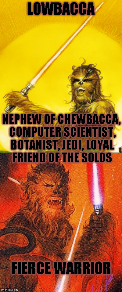 Star Wars Expanded Universe Character Spotlight: Lowbacca | LOWBACCA; NEPHEW OF CHEWBACCA, COMPUTER SCIENTIST, BOTANIST, JEDI, LOYAL FRIEND OF THE SOLOS; FIERCE WARRIOR | image tagged in memes,star wars,star wars treu canon,legends,star wars kills disney,star wars eu character spotlight | made w/ Imgflip meme maker