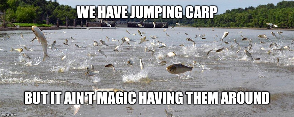 WE HAVE JUMPING CARP BUT IT AIN'T MAGIC HAVING THEM AROUND | made w/ Imgflip meme maker