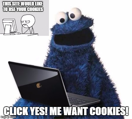 cookie monster computer | THIS SITE WOULD LIKE TO USE YOUR COOKIES; CLICK YES! ME WANT COOKIES! | image tagged in cookie monster computer | made w/ Imgflip meme maker