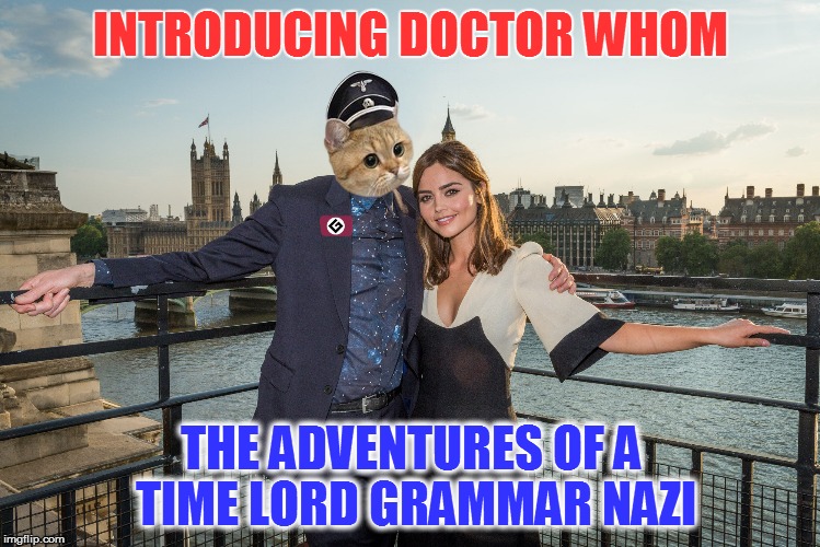 And his gorgeous yet platonic companion | INTRODUCING DOCTOR WHOM; THE ADVENTURES OF A TIME LORD GRAMMAR NAZI | image tagged in memes,grammar nazi,grammar nazi cat,doctor who | made w/ Imgflip meme maker