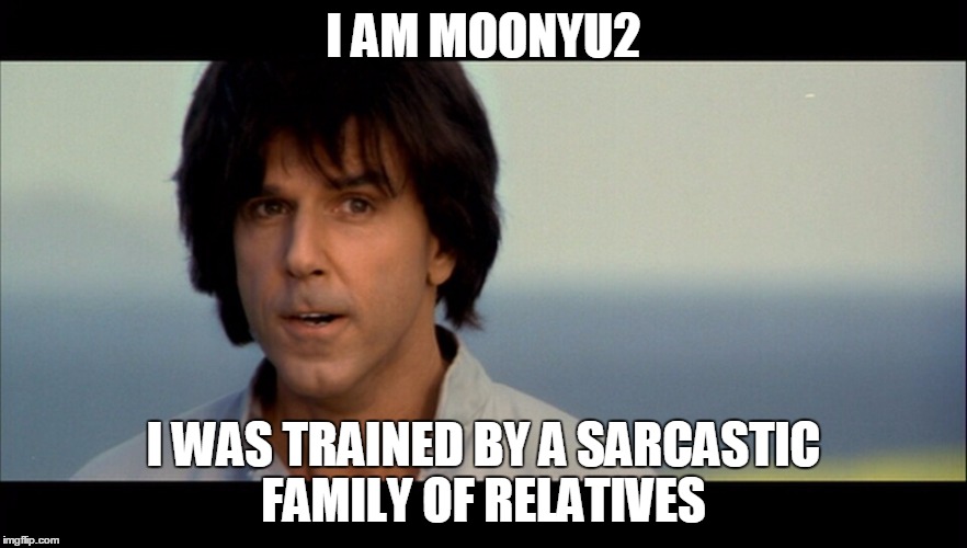 Kung Pow | I AM MOONYU2 I WAS TRAINED BY A SARCASTIC FAMILY OF RELATIVES | image tagged in kung pow | made w/ Imgflip meme maker