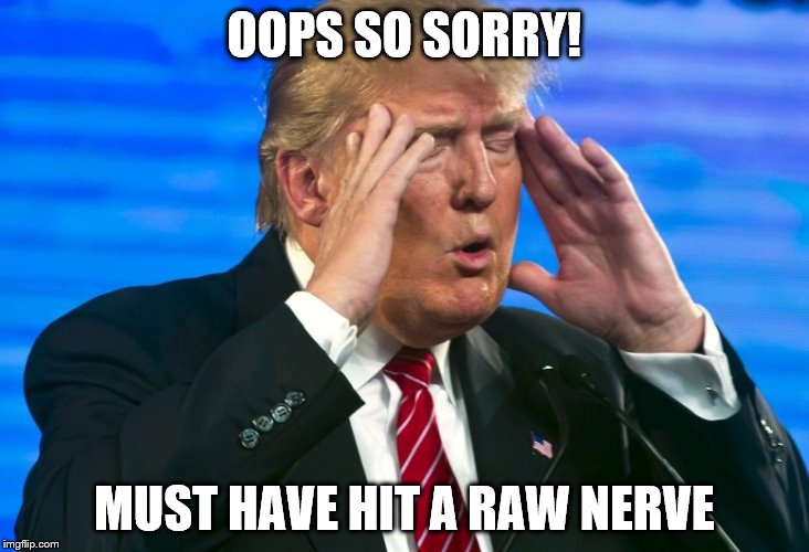 OOPS SO SORRY! MUST HAVE HIT A RAW NERVE | made w/ Imgflip meme maker