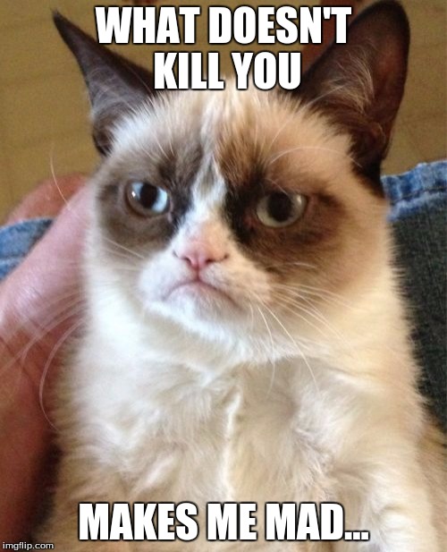 He's at his best times... | WHAT DOESN'T KILL YOU; MAKES ME MAD... | image tagged in memes,funny,grumpy cat,meme,dank,dank memes | made w/ Imgflip meme maker