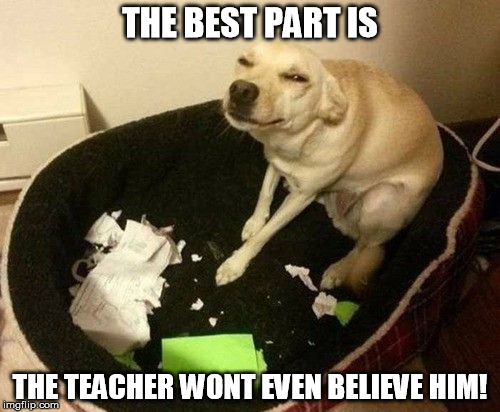 More homework excuses | THE BEST PART IS; THE TEACHER WONT EVEN BELIEVE HIM! | image tagged in dog ate homework,dogs,funny,funny homework | made w/ Imgflip meme maker