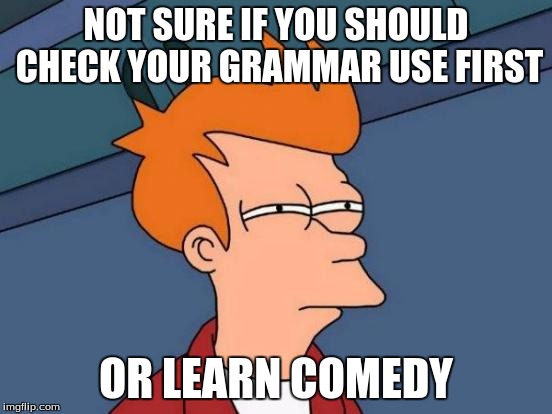 NOT SURE IF YOU SHOULD CHECK YOUR GRAMMAR USE FIRST OR LEARN COMEDY | image tagged in memes,futurama fry | made w/ Imgflip meme maker