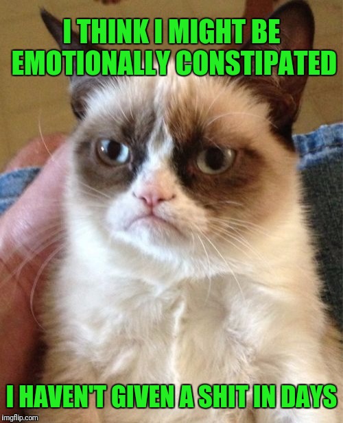 Grumpy Cat | I THINK I MIGHT BE EMOTIONALLY CONSTIPATED; I HAVEN'T GIVEN A SHIT IN DAYS | image tagged in memes,grumpy cat | made w/ Imgflip meme maker