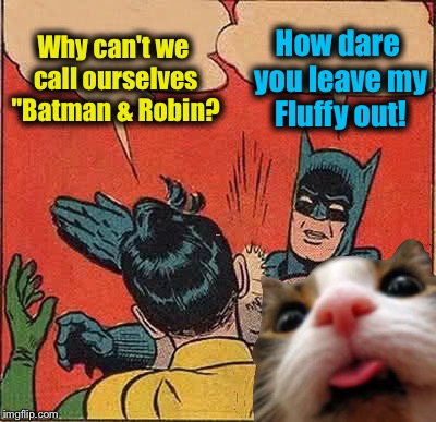 Batman & Fluffy | Why can't we call ourselves "Batman & Robin? How dare you leave my Fluffy out! | image tagged in memes,batman slapping robin,evilmandoevil,funny | made w/ Imgflip meme maker
