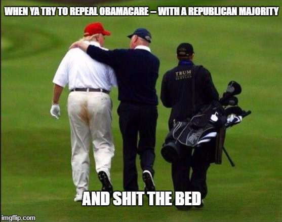 WHEN YA TRY TO REPEAL OBAMACARE -- WITH A REPUBLICAN MAJORITY; AND SHIT THE BED | image tagged in trumpcare,trump,paul ryan,republicans | made w/ Imgflip meme maker