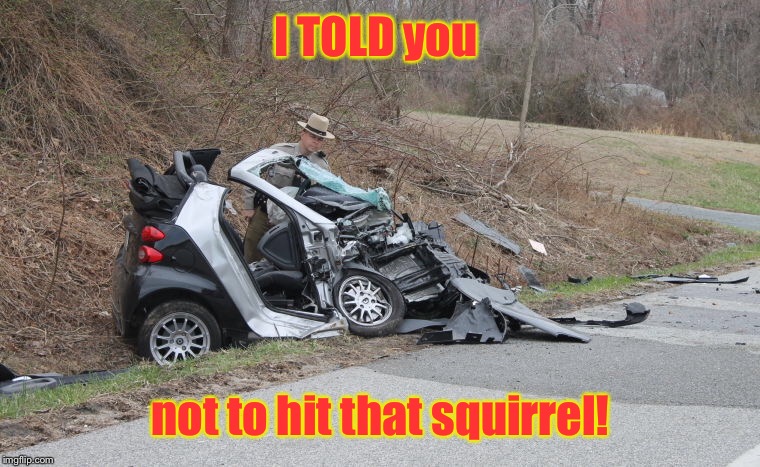 Smart Car accident | I TOLD you; not to hit that squirrel! | image tagged in memes,smart car,squirrel accident,warning,funny | made w/ Imgflip meme maker
