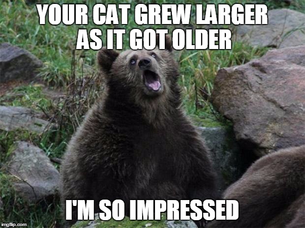 Sarcastic Bear | YOUR CAT GREW LARGER AS IT GOT OLDER; I'M SO IMPRESSED | image tagged in sarcastic bear,AdviceAnimals | made w/ Imgflip meme maker