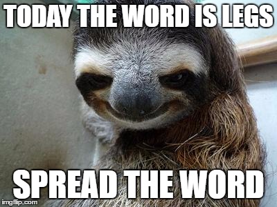 Creeper Sloth | TODAY THE WORD IS LEGS; SPREAD THE WORD | image tagged in creeper sloth | made w/ Imgflip meme maker
