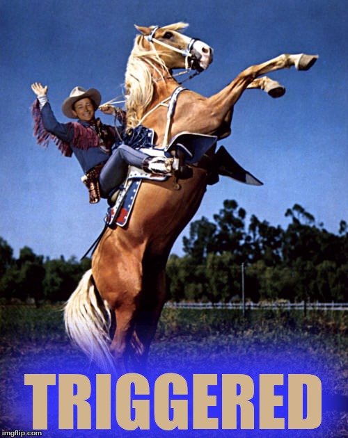 Trigger Triggered | TRIGGERED | image tagged in memes,roy rogers and trigger,triggered | made w/ Imgflip meme maker