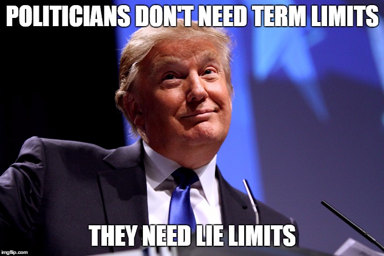 Donald Trump No2 | POLITICIANS DON'T NEED TERM LIMITS; THEY NEED LIE LIMITS | image tagged in donald trump no2 | made w/ Imgflip meme maker