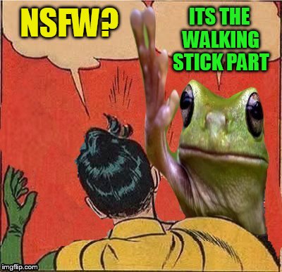 NSFW? ITS THE WALKING STICK PART | made w/ Imgflip meme maker