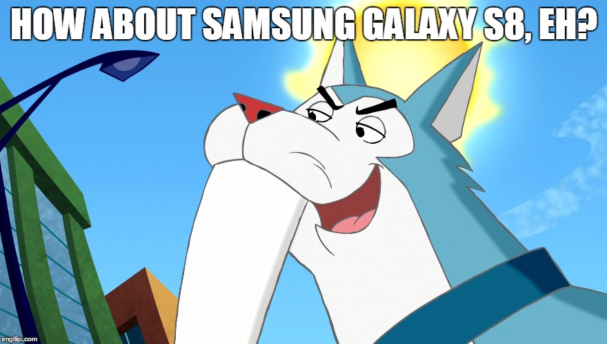 how about down, eh? | HOW ABOUT SAMSUNG GALAXY S8, EH? | image tagged in tusky husky,memes,how about down eh? | made w/ Imgflip meme maker