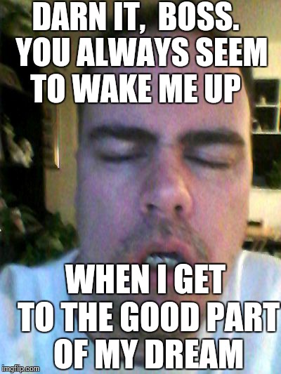 tired | DARN IT,  BOSS.  YOU ALWAYS SEEM TO WAKE ME UP WHEN I GET TO THE GOOD PART OF MY DREAM | image tagged in tired | made w/ Imgflip meme maker