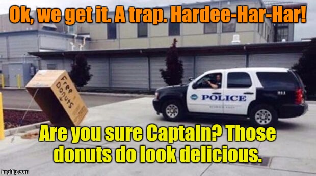 Cops do LOVE donuts | Ok, we get it. A trap. Hardee-Har-Har! Are you sure Captain? Those donuts do look delicious. | image tagged in donuts,cops and donuts | made w/ Imgflip meme maker