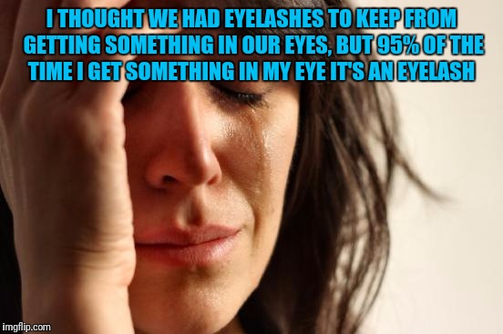 First World Problems Meme | I THOUGHT WE HAD EYELASHES TO KEEP FROM GETTING SOMETHING IN OUR EYES, BUT 95% OF THE TIME I GET SOMETHING IN MY EYE IT'S AN EYELASH | image tagged in memes,first world problems | made w/ Imgflip meme maker