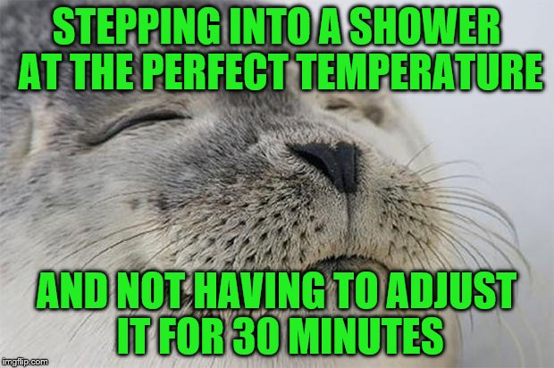 Satisfied Seal | STEPPING INTO A SHOWER AT THE PERFECT TEMPERATURE; AND NOT HAVING TO ADJUST IT FOR 30 MINUTES | image tagged in memes,satisfied seal | made w/ Imgflip meme maker