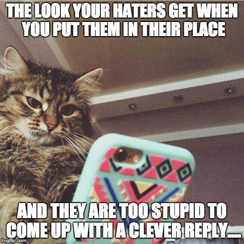 Angry Haters | THE LOOK YOUR HATERS GET WHEN YOU PUT THEM IN THEIR PLACE; AND THEY ARE TOO STUPID TO COME UP WITH A CLEVER REPLY.... | image tagged in wtf cat,haters,haters gonna hate,trolls,internet trolls,cats | made w/ Imgflip meme maker