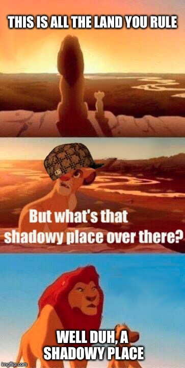Simba Shadowy Place | THIS IS ALL THE LAND YOU RULE; WELL DUH, A SHADOWY PLACE | image tagged in memes,simba shadowy place,scumbag | made w/ Imgflip meme maker