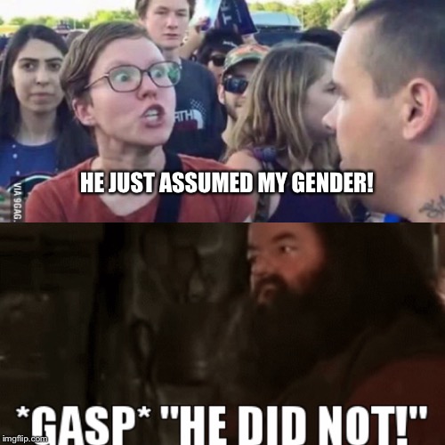 He assumed my gender! | HE JUST ASSUMED MY GENDER! | image tagged in harry potter,hagrid,gender confusion,gender identity,gender equality | made w/ Imgflip meme maker