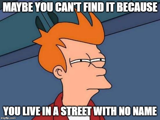 MAYBE YOU CAN'T FIND IT BECAUSE YOU LIVE IN A STREET WITH NO NAME | image tagged in memes,futurama fry | made w/ Imgflip meme maker