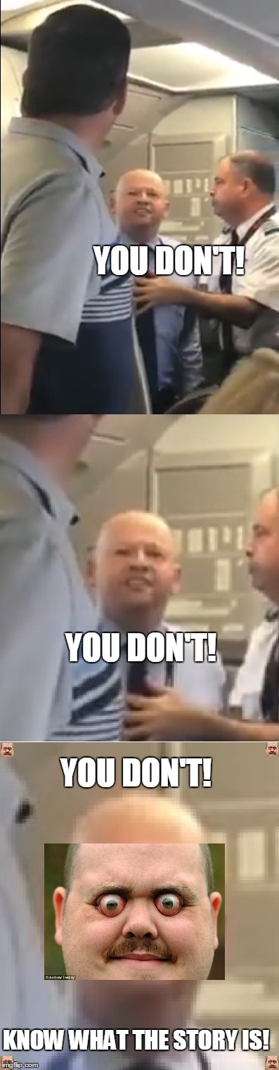 You don't KNOW!! | YOU DON'T! YOU DON'T! YOU DON'T! KNOW WHAT THE STORY IS! | image tagged in american airlines,passenger flipout,yelling,tough guy | made w/ Imgflip meme maker