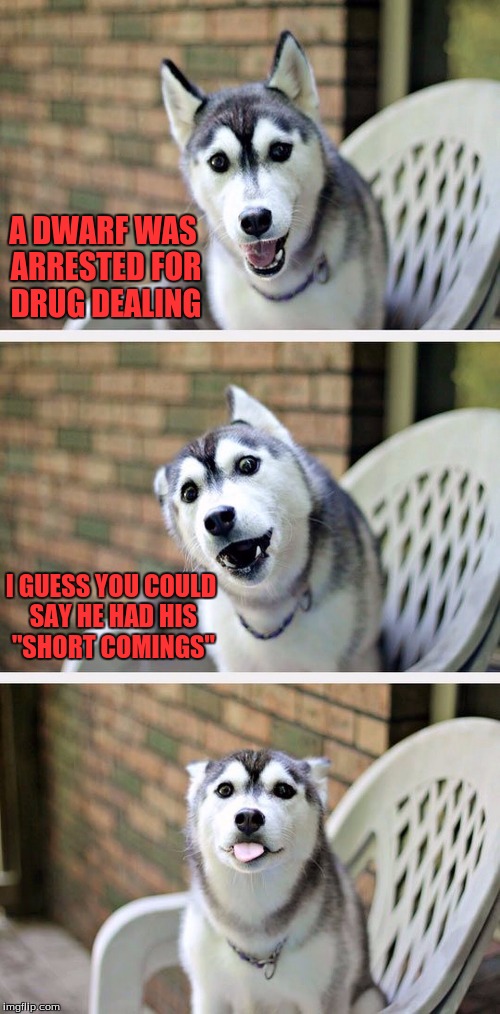 Three cheers to being on Imgflip for over a year and never getting a front page~! | A DWARF WAS ARRESTED FOR DRUG DEALING; I GUESS YOU COULD SAY HE HAD HIS "SHORT COMINGS" | image tagged in bad pun dog 2,drugs,dealer,drug dealer,dwarf | made w/ Imgflip meme maker