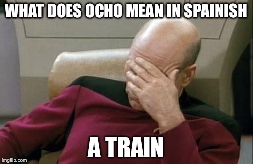 Captain Picard Facepalm | WHAT DOES OCHO MEAN IN SPAINISH; A TRAIN | image tagged in memes,captain picard facepalm | made w/ Imgflip meme maker