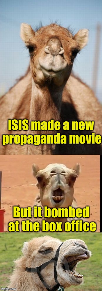Bad Pun Camel | ISIS made a new propaganda movie; But it bombed at the box office | image tagged in bad pun camel | made w/ Imgflip meme maker