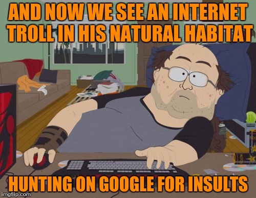 I Hate Internet Trolls Especially On Imgflip | AND NOW WE SEE AN INTERNET TROLL IN HIS NATURAL HABITAT; HUNTING ON GOOGLE FOR INSULTS | image tagged in memes,rpg fan,google,internet trolls | made w/ Imgflip meme maker