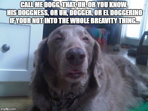 High Dog | CALL ME DOGG, THAT, UH, OR YOU KNOW, HIS DOGGNESS, OR UH, DOGGER, OR EL DOGGERINO IF YOUR NOT INTO THE WHOLE BREAVITY THING... | image tagged in memes,high dog | made w/ Imgflip meme maker