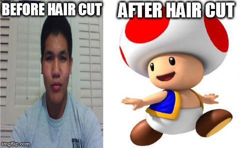 BEFORE HAIR CUT AFTER HAIR CUT | image tagged in mushroomdome | made w/ Imgflip meme maker