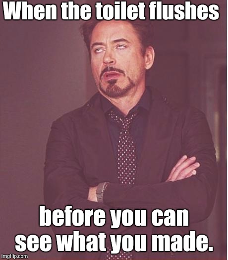 Face You Make Robert Downey Jr Meme | When the toilet flushes before you can see what you made. | image tagged in memes,face you make robert downey jr | made w/ Imgflip meme maker
