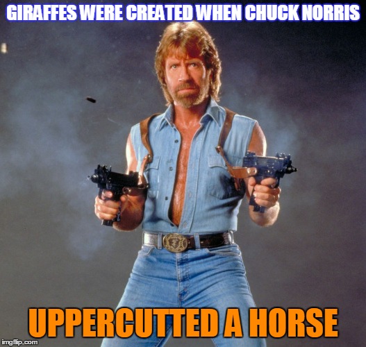 And it flew so high in the air from America that it landed in Africa! Chuck Norris Week-a Sir_Unknown Event! May 1st-7th | GIRAFFES WERE CREATED WHEN CHUCK NORRIS; UPPERCUTTED A HORSE | image tagged in memes,chuck norris guns,chuck norris,chuck norris week,a sir_unknown event,google images | made w/ Imgflip meme maker