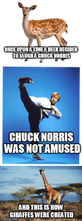 Where did giraffes come from? (a Chuck Norris week history lesson) | ONCE UPON A TIME A DEER DECIDED TO LAUGH A CHUCK NORRIS; CHUCK NORRIS WAS NOT AMUSED; AND THIS IS HOW GIRAFFES WERE CREATED | image tagged in giraffe,deer,chuck norris,chuck norris week | made w/ Imgflip meme maker