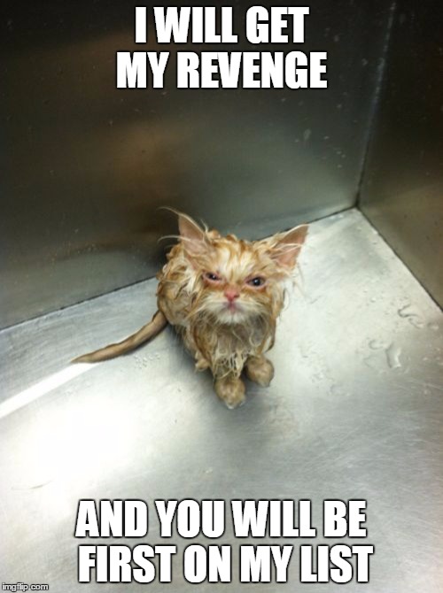 Kill You Cat | I WILL GET MY REVENGE; AND YOU WILL BE FIRST ON MY LIST | image tagged in memes,kill you cat | made w/ Imgflip meme maker