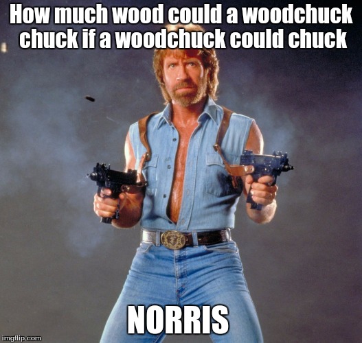 Woodchucks Don't Stand A Chance | How much wood could a woodchuck chuck if a woodchuck could chuck; NORRIS | image tagged in memes,chuck norris week,a sir_unknown event | made w/ Imgflip meme maker