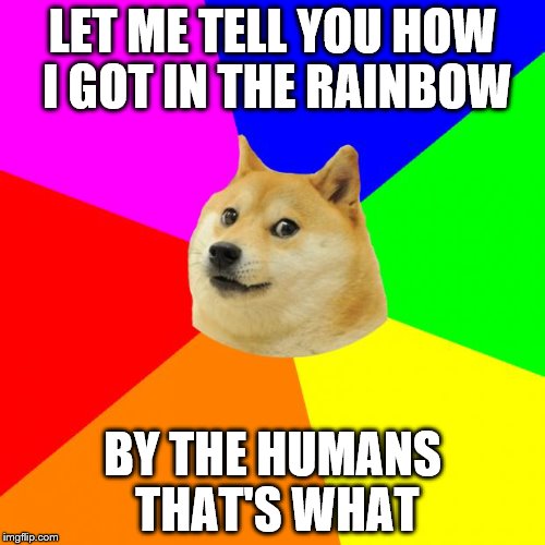 Advice Doge | LET ME TELL YOU HOW I GOT IN THE RAINBOW; BY THE HUMANS THAT'S WHAT | image tagged in memes,advice doge | made w/ Imgflip meme maker