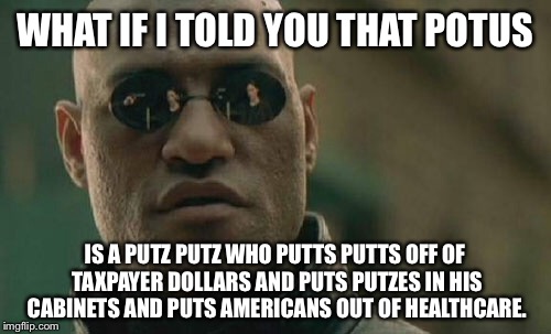 POTUS is a Putz Putz who Putts Putts | WHAT IF I TOLD YOU THAT POTUS; IS A PUTZ PUTZ WHO PUTTS PUTTS OFF OF TAXPAYER DOLLARS AND PUTS PUTZES IN HIS CABINETS AND PUTS AMERICANS OUT OF HEALTHCARE. | image tagged in memes,matrix morpheus,fuck donald trump,trump golf,putz | made w/ Imgflip meme maker