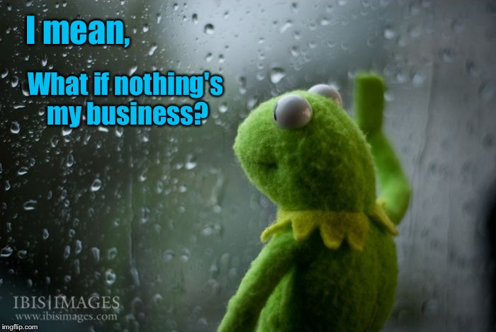 Cheer up, buttercup! | I mean, What if nothing's my business? | image tagged in kermit window | made w/ Imgflip meme maker